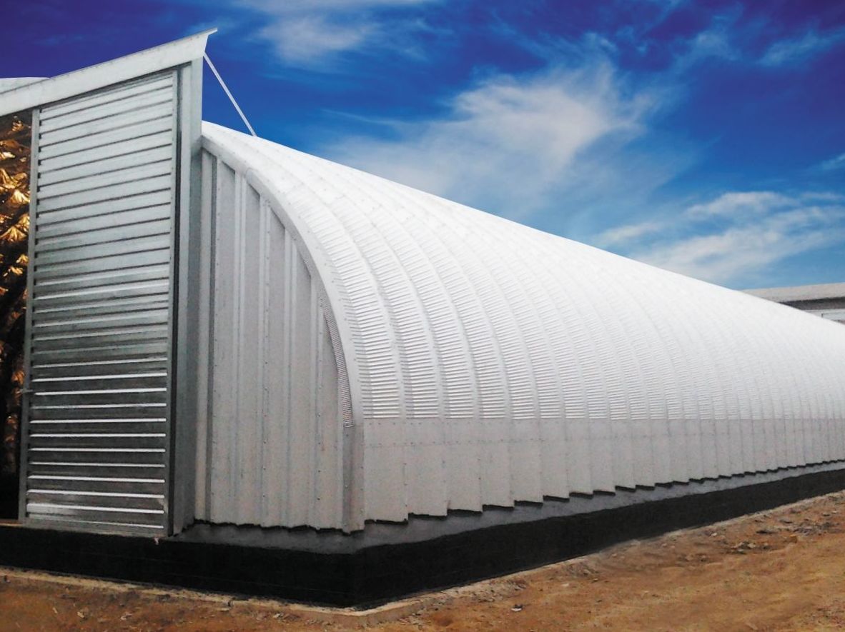 <span style="font-weight: bold;">Строительство бескаркасных ангаров</span><br>